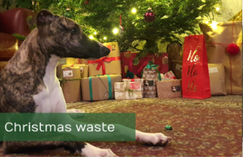 Recycle this Christmas!