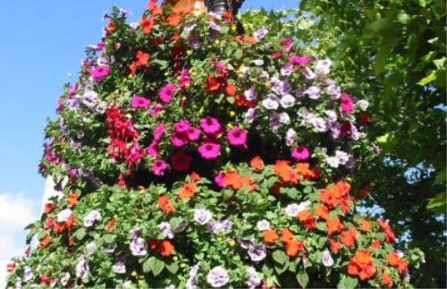 Wells In Bloom Awards 2022