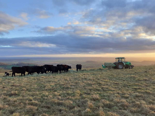 Grants for farmers in the Mendip Hills renewed for another year